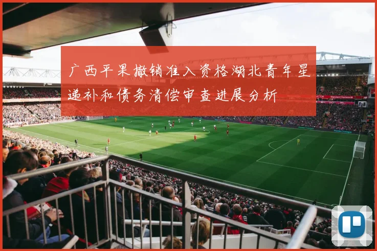 广西平果撤销准入资格湖北青年星递补和债务清偿审查进展分析