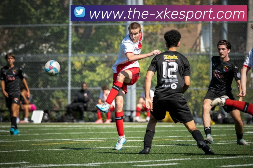 星空电竞平台生态图